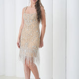 Aurora Crystal Fringe Dress