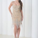 Aurora Crystal Fringe Dress