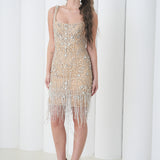 Aurora Crystal Fringe Dress