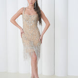 Aurora Crystal Fringe Dress