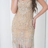 Aurora Crystal Fringe Dress