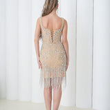 Aurora Crystal Fringe Dress
