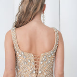 Aurora Crystal Fringe Dress